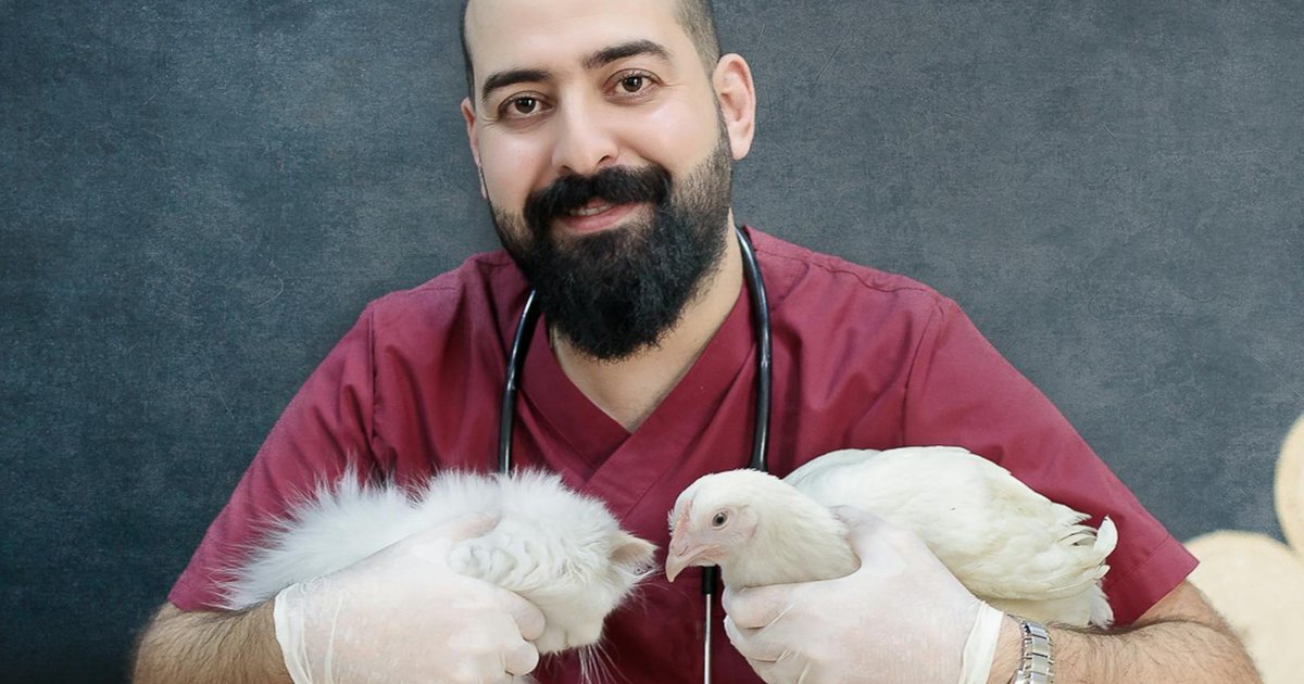 Vet examining a bird with stethoscope concept art
