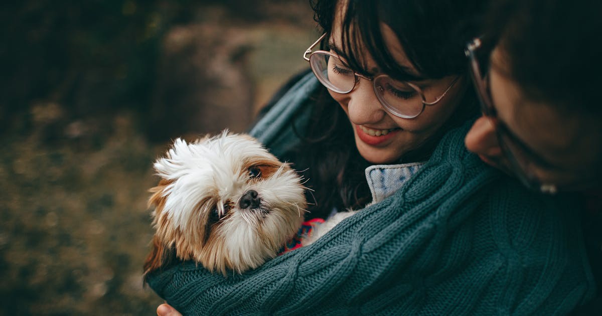 MetLife Pet Insurance app on phone with dog and cat in background