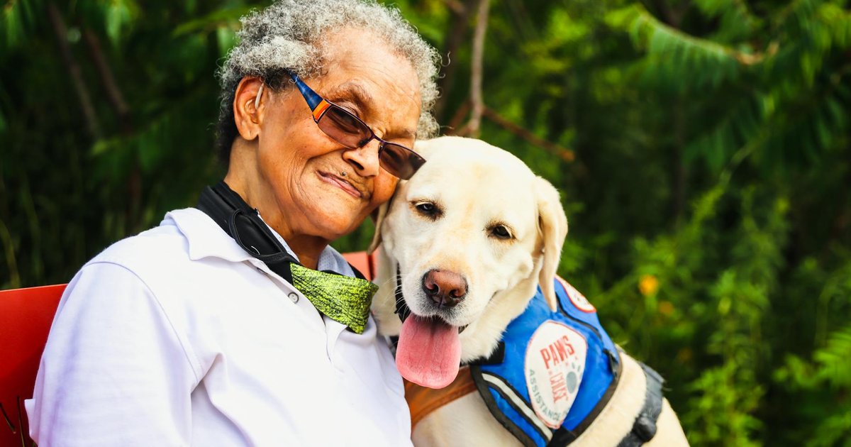 Pet insurance in Florida concept art